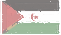 Western Sahara Flag design