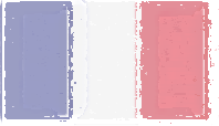 France Flag design
