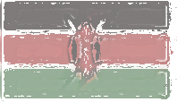 Kenya Flag design