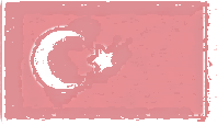 Turkey Flag design